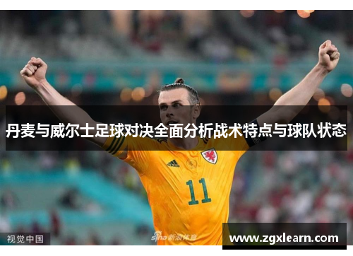 丹麦与威尔士足球对决全面分析战术特点与球队状态